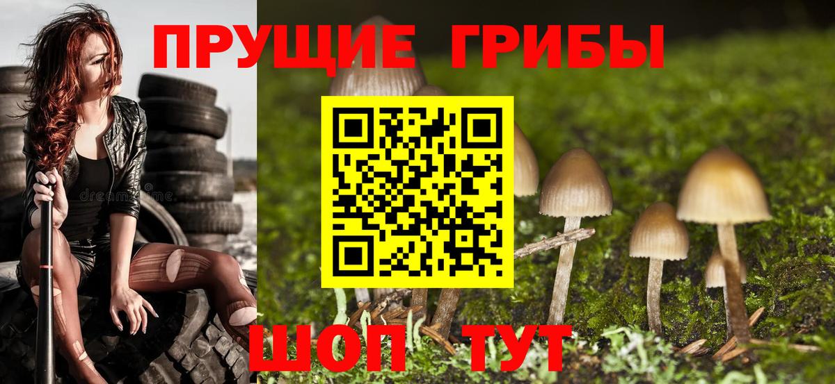 Галлюциногенные грибы GOLDEN TEACHER  Вход с VPN  Галлюциногенные грибы ЛСД  Каменск-Шахтинский 